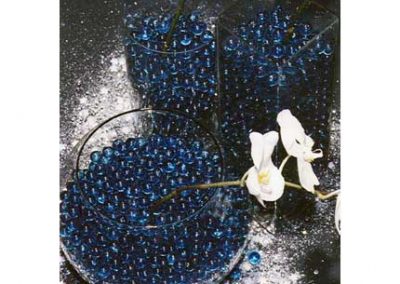 SorayaIbner-2004-JPMorganJck-27