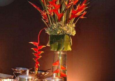 SorayaIbner-2010-Medial-11