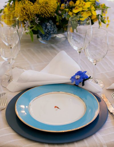 SorayaIbner-2015-AniversarioEva-05