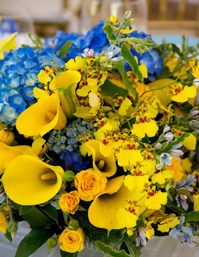 SorayaIbner-2015-AniversarioEva-07